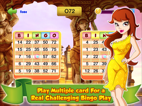 Bingo Master Deluxe Casino - HD Free Ipad images