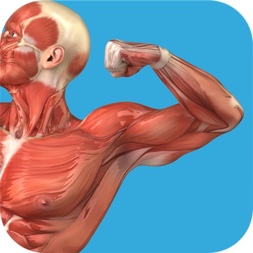 Student Muscle & Bone Anatomy 3D Visual Dictionary with Quiz Master icon