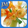 Flowers Jigsaw