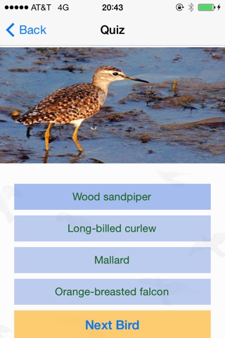 Bird Watching Guide & Identification screenshot 3