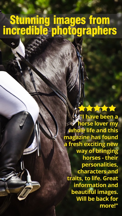 Saddle And Stirrups Magazine: Equestrian health, nutrition and horsemanship for horse and rider