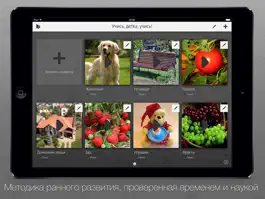 Game screenshot Учись, детка, учись! - приложение для самых маленьких (с 6 месяцев) mod apk