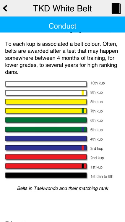 The Taekwondo White Belt screenshot-3