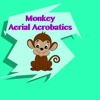 Monkey Aerial Acrobatics