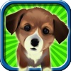 A Dog House Run - Country Race Adventure - Free Version