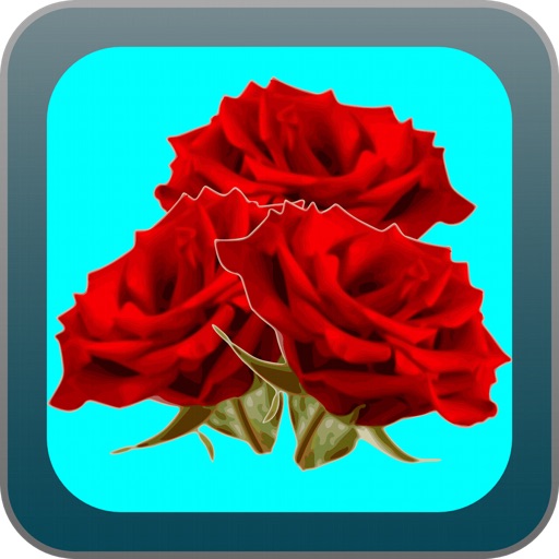 Bokays 3D iOS App
