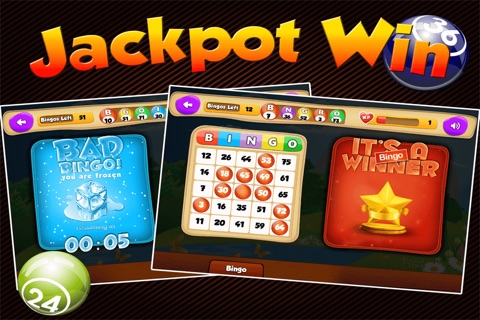 Bingo Streak - Multiple Daubs With Real Vegas Odds screenshot 3
