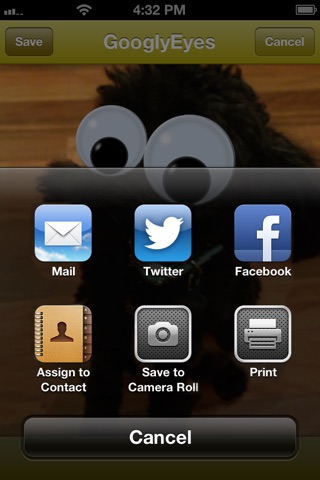 Googly Eyeify screenshot 3