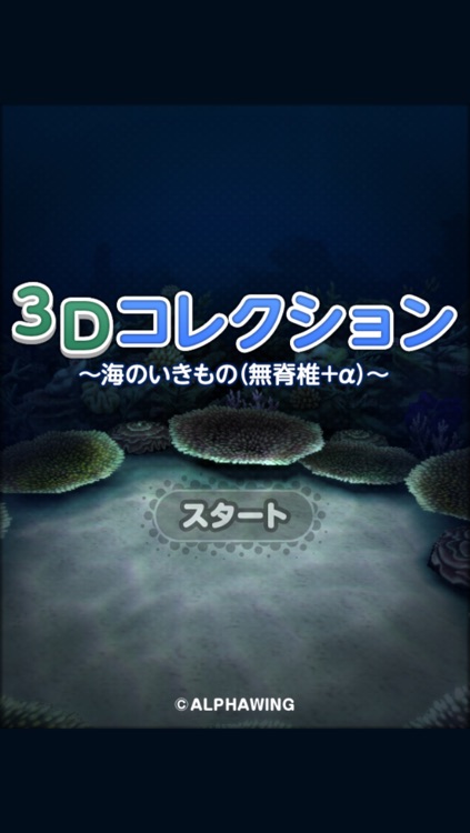 ３Ｄコレクション 海のいきもの 無脊椎動物