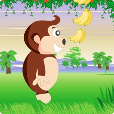 Activities of Dilbert Run