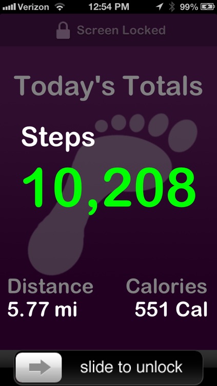Pedometer