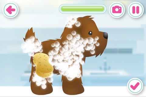 Playful Pet screenshot 3