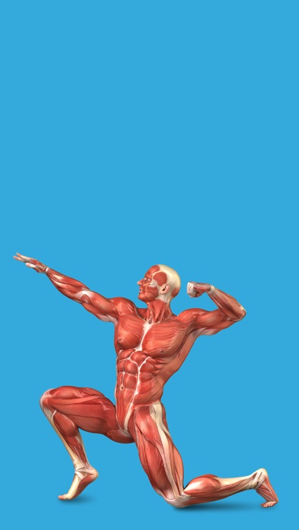 Student Muscle & Bone Anatomy 3D Visual Dictionary with Quiz Master