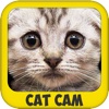 Cat Cam - Draw/Paint Cats onto Photos + Photo Booth & Editor - Stamp Animal Effects w/Captions for a Meme!