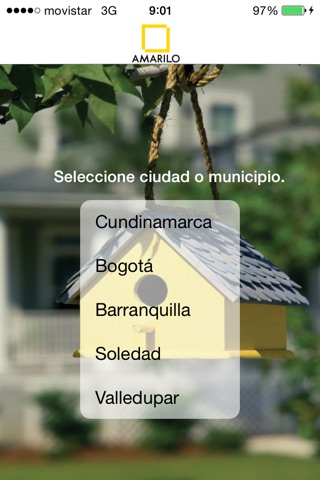 Amarilo screenshot 2