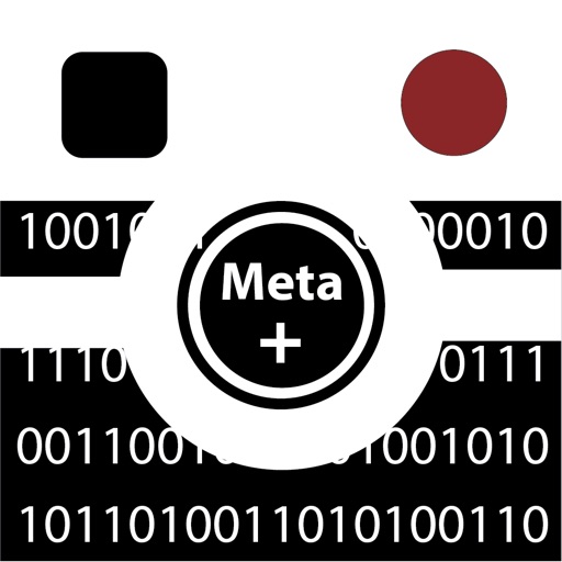 Meta+ Icon