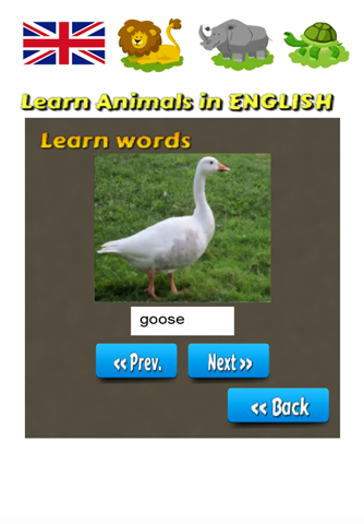 Learn Animals in English Language screenshot 4