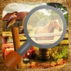 Hidden Objects Horse Farm House