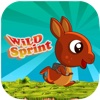 Wild Sprint -A delightful platform runner adventure