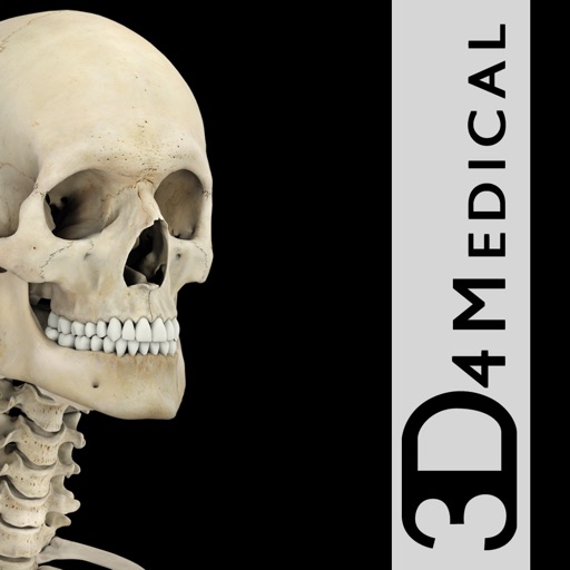Skeleton System Pro III - iPhone Edition