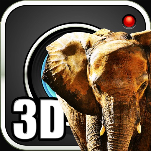 Jungle Cam 3D icon