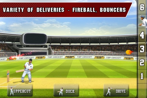 Tap Cricket 2013 screenshot 4