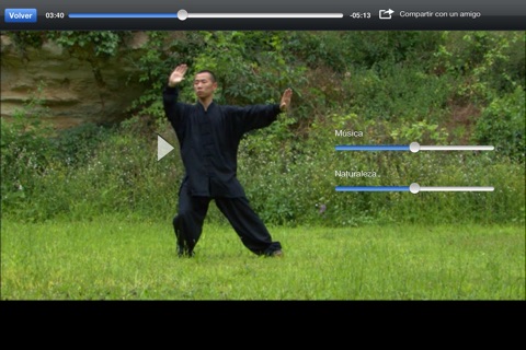 Tai Chi Yang screenshot 2