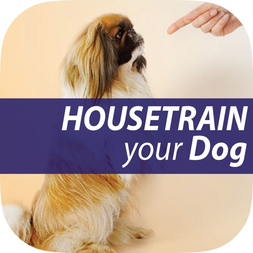 The Untold Secret to Mastering Indoor House Training for Dog in Just 7 Days icon