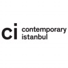 Contemporary Istanbul