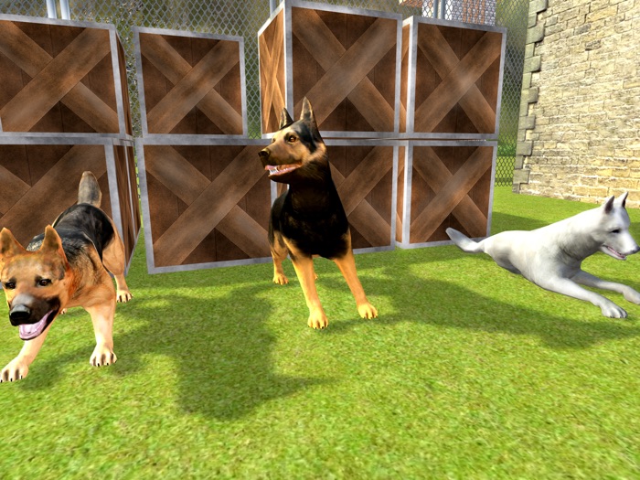 Police Dog Chase Prisoner Escape -  Real Hard Time Dog Fighting Against City Crime of Robbers  Criminals