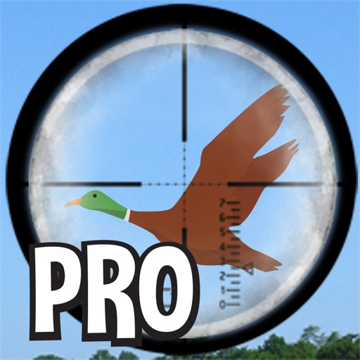 Duck Hunt Pro - A Cool Adventure Season Hunter Shoot-ing Game