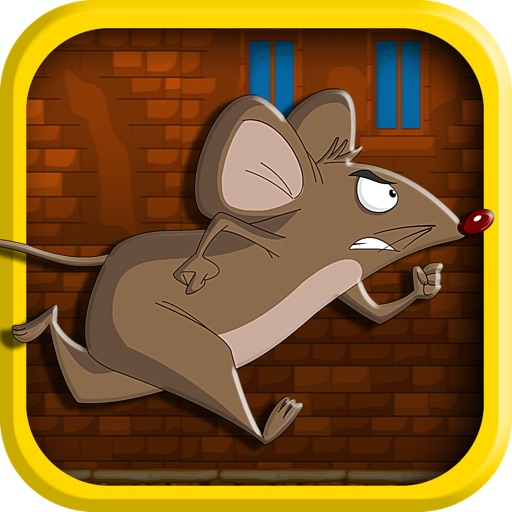 Anti Gravity Mouse Rush : Little Mice Escape Pro icon