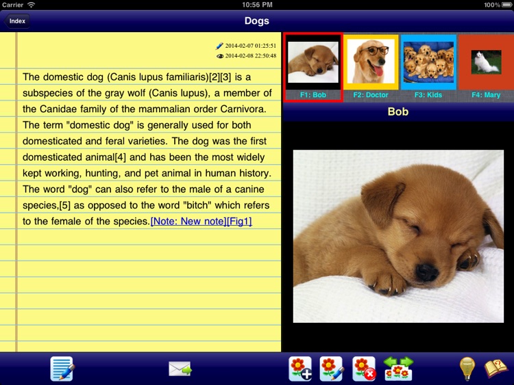 GraphicNotes-HD-CN-Basic - write notes with text and figures