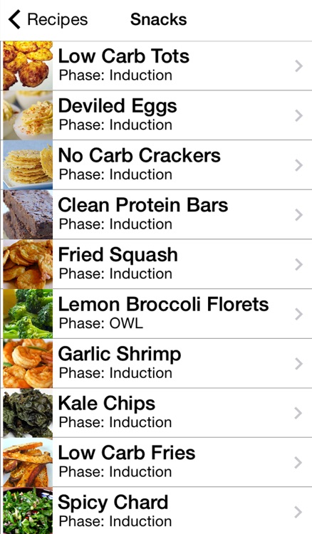 101+ Atkins Diet Recipes - Tips, Food Checker, and More