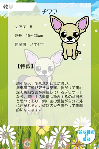 たまご犬コレクション〜色んな種類の犬を集めよう〜 screenshot 3