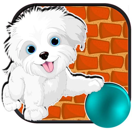 A Petit Pup Yorkie - Yorkshire Terrier Game icon