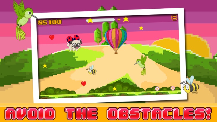 Le Pugbug Fly! -  Adventure Run of a Tiny Flying Puppy Pug Ladybug