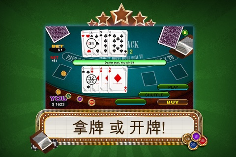 Blackjack 21 Pro - Poker Betting For Hot Streak! screenshot 3