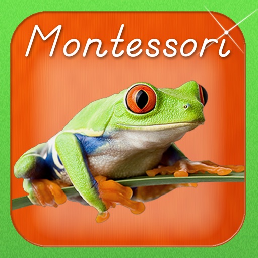 Montessori Approach to Zoology - The Animal Kingdom (Vertebrates)