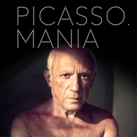 Picasso.mania, LApplication officielle de lexposition