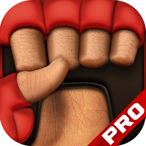 Game Cheats - Ultimate Fighting MMA Live Fight GSP Icon