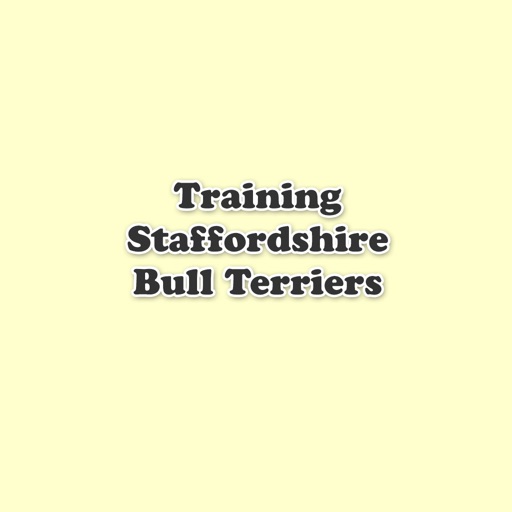 Training Staffordshire Bull Terriers