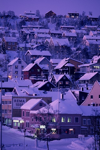 Scandinavia -Winter Lights- for iPhone screenshot 2