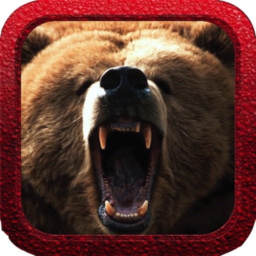 Bear Hunting Icon