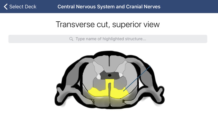 Anatomy SmartCards