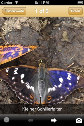 ButterfliesLite screenshot 4