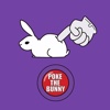 Poke The Bunny