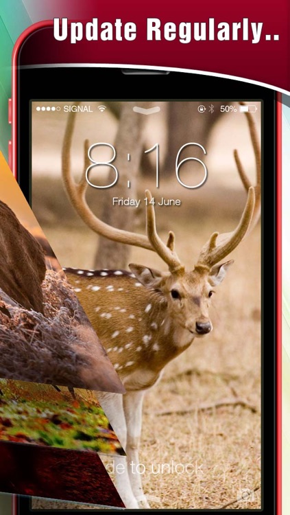 HD Deer Hunting Lock Screens & Wallpapers
