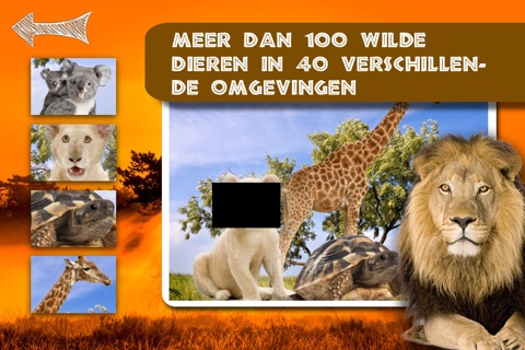 Shape Game Wildlife Photo for kids screenshot 4