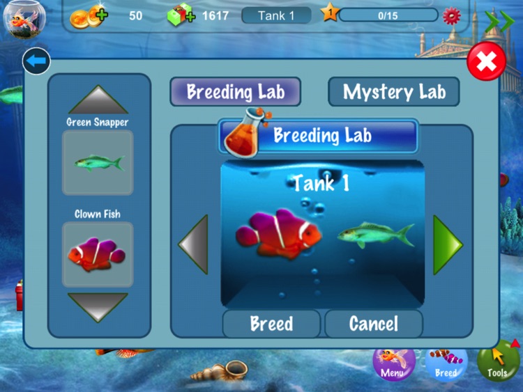 Dream Fish HD